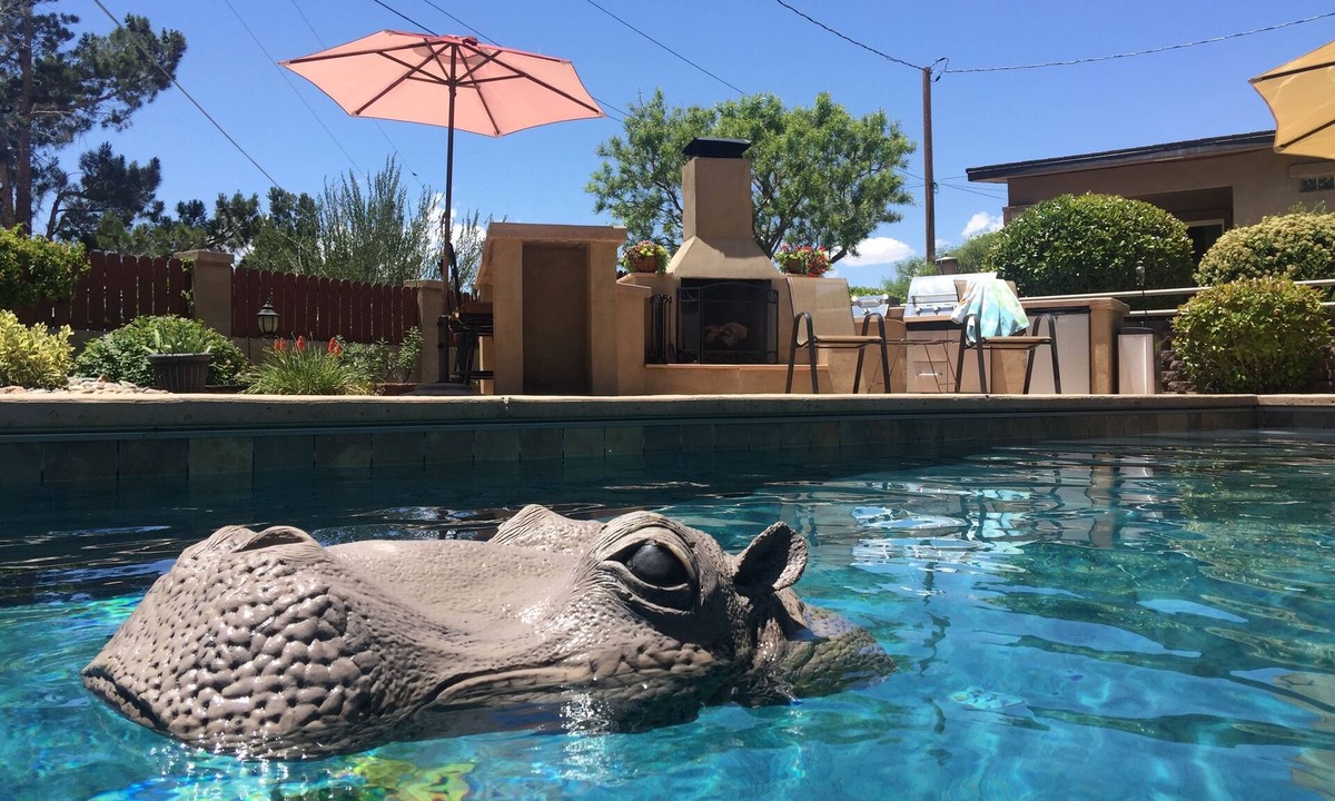 Foothills South House | 3 BR 2 BA Guest House with heated pool, hot tub, outdoor kitchen & putting range
