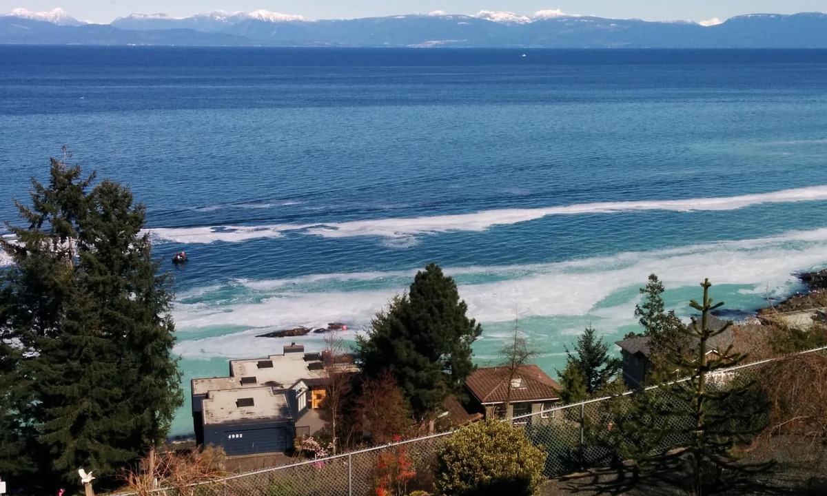 Regional District of Nanaimo Apartment | Big Vista Ocean View and Garden Suite. Minutes from the Salish Sea Shore!