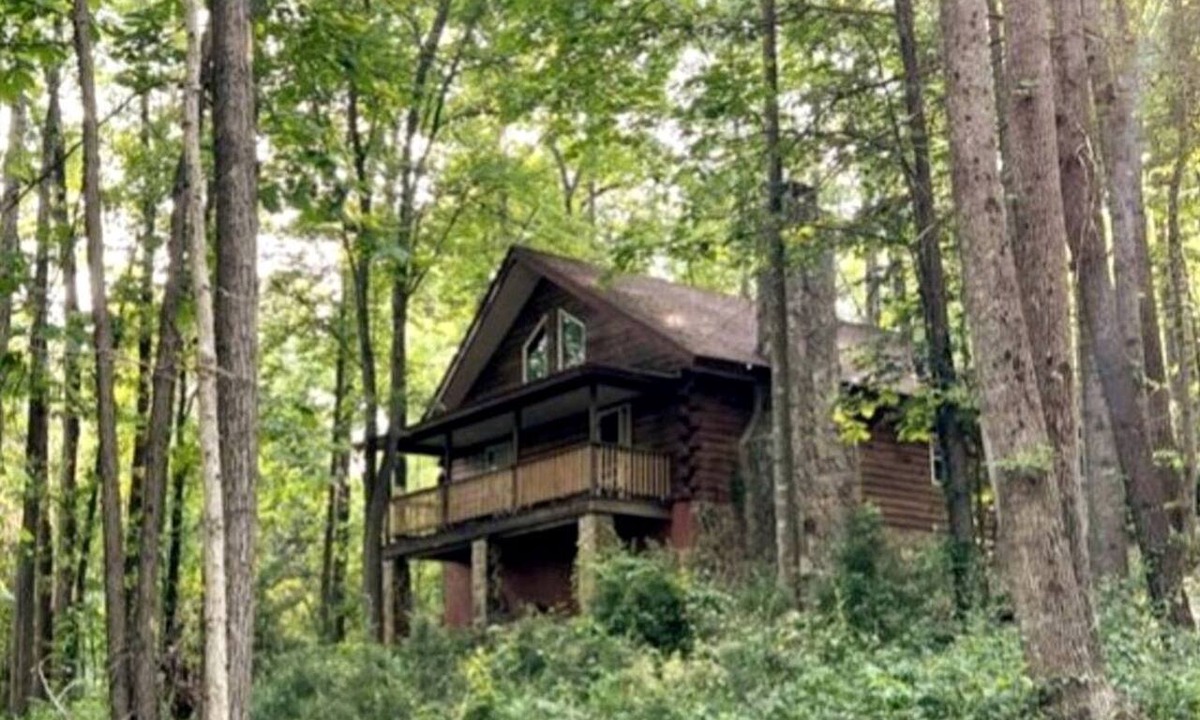 Traphill Cabin | Cozy Forest Cabin Surrounded by Trees near Stone Mountain State Park, North Carolina