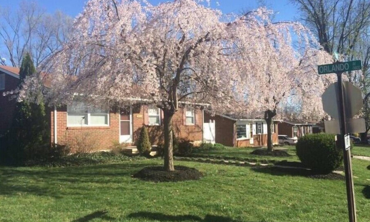 Hollins House | Experience Hollins charm near Hollins University