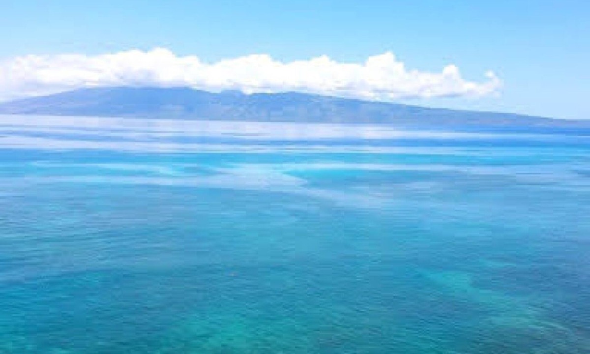 Kahana Apartment | Great ocean view at the best price on West Maui