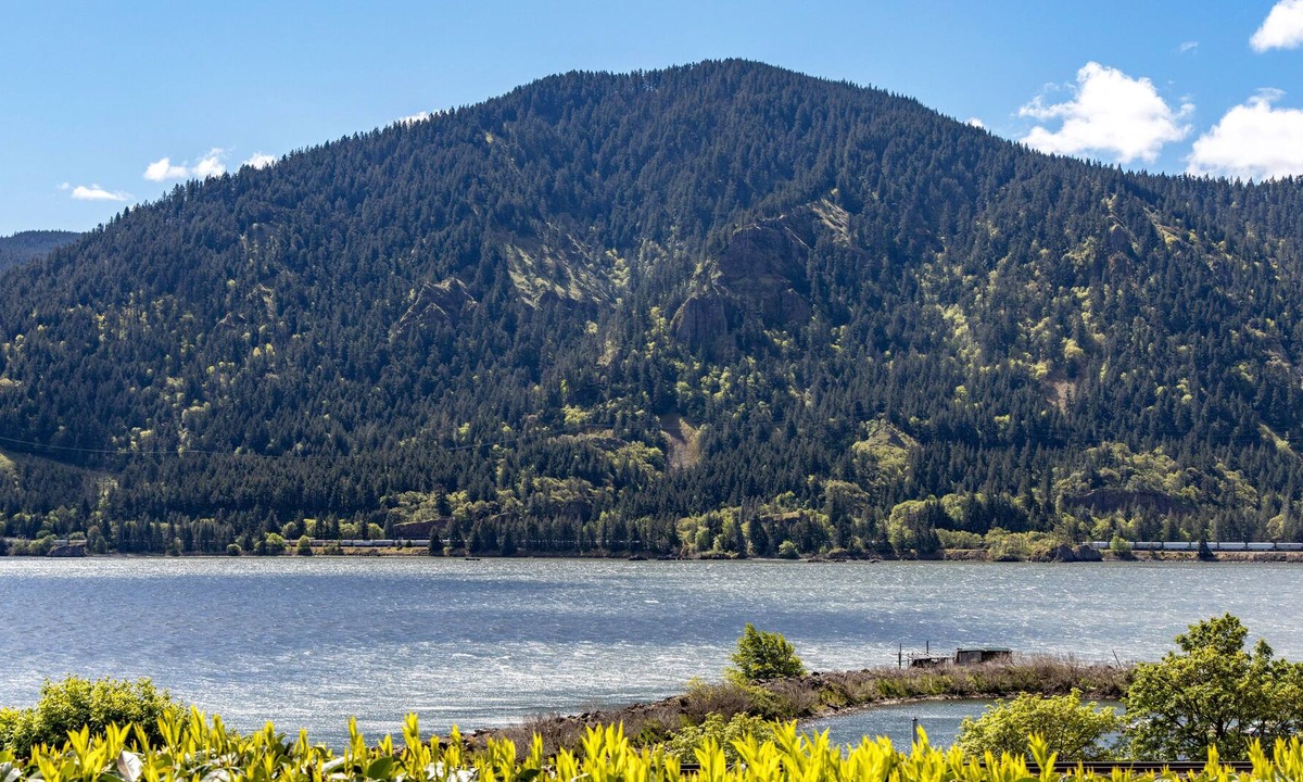 Cook House | Perfect River Location and Views! Amazing Remodel!