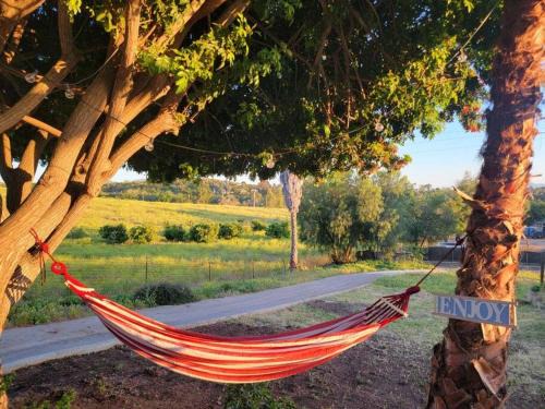 Escondido House | Relaxing Farm Vibes Near Safari Zoo, Legoland & Wineries Escondido