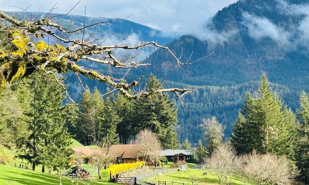 Stevenson House | Sauna, River Views, 4BR Homestead Retreat