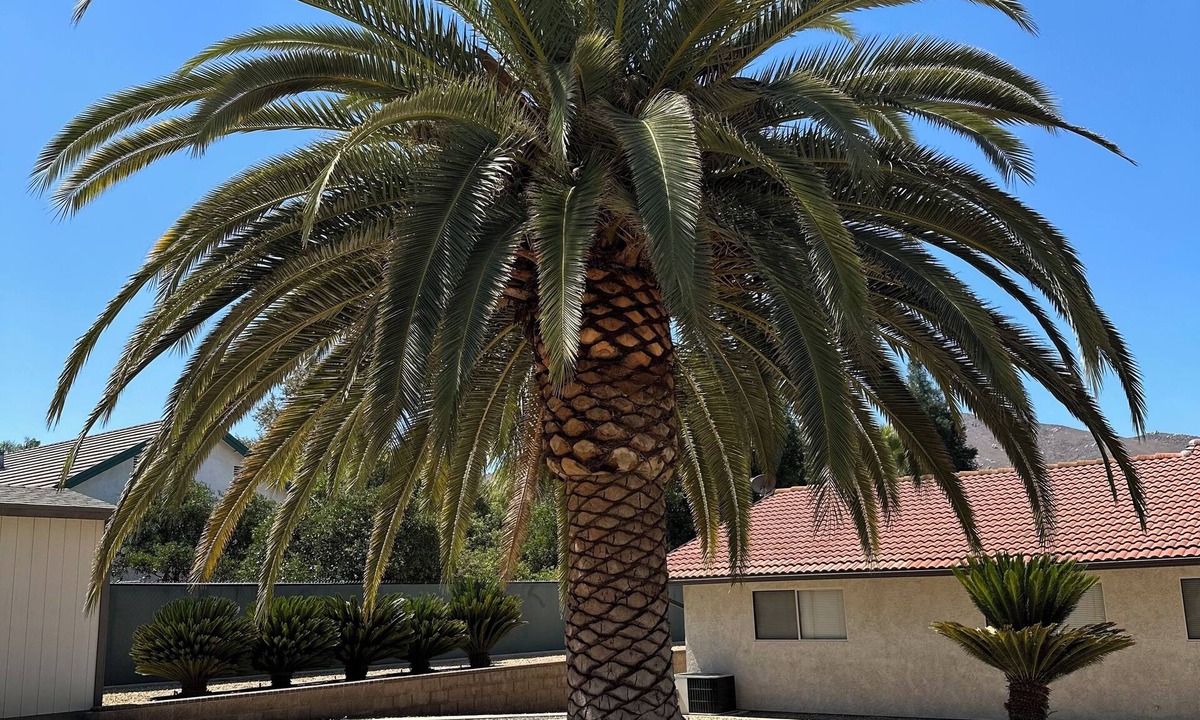Riverside House | Spacious 4-bedroom house in Riverside with AC