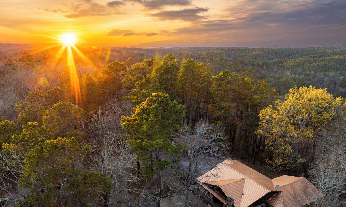 Octavia Cabin | The Honey Lodge - Away from party neighborhoods . 2 Kings & 1 Queen Bed