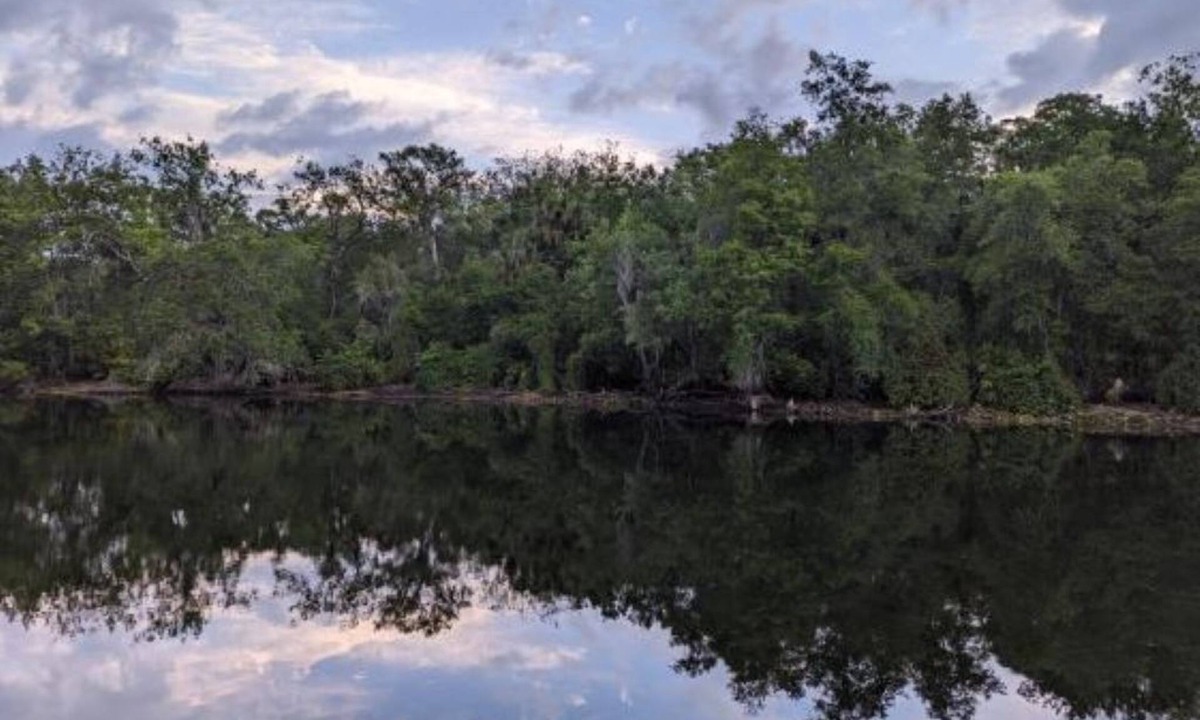 Temple Terrace House | Tranquil, Riverfront 3-bedroom Tampa home near USF & Busch Gardens
