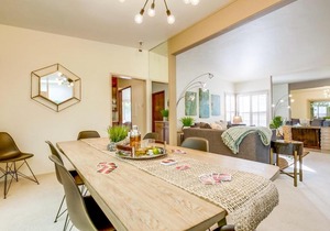 Abalone - Bird Rock Home