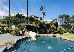 Breathtaking Oceanfront Resort, 4 pools, 2 Jacuzzis and Restaurants on Site