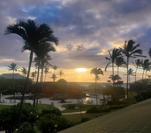 Resort Ocean 