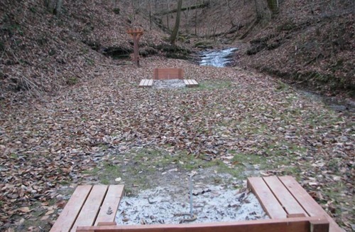 Lejunior Cabin | 3BR, 2 Bath Cabin with full kitchen, living room, hot tub and spacious backyard.