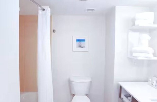 Wesley Chapel Hotel | 4 Hampton Comfort | Large Groups w/Fitness Center & Breakfast Included!
