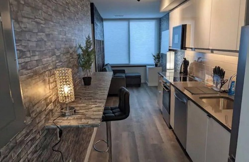 Downtown Condo | Beautiful 2 Bedroom Apt in downtown silverspring