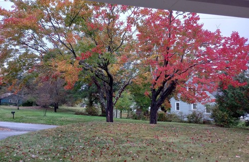 Bradley House | Beckley Escape . Near the Crossroads Mall and 20 minutes to the New River Gorge