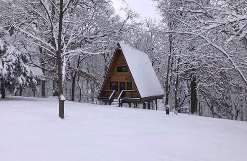 Rogers House | Black Walnut Bungalow-Cozy Forest A-frame near Bentonville