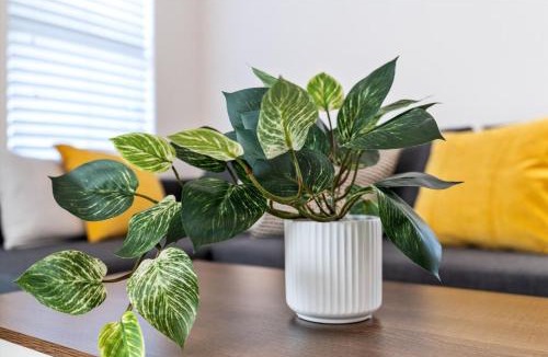 Greenslopes At Lake Creek House | Charming casa near historic Downtown, Kalahari etc