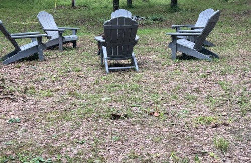 Dierks Cabin | Cozy 2-bedroom cabin in welcoming Dierks with AC on Dierks Lake Blue Ridge