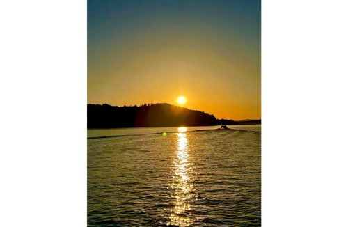 Kirby Cabin | Cozy Tiny Home Cabin Near Lake Greeson & Kirby Landing – Pet-Friendly!