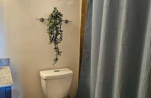 East County Civic Group Apartment | Cozy Two Bedrooms Apartment in Valrico