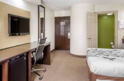 Temple Terrace Hotel | Family-Friendly Retreat Near Lettuce Lake – Explore Nature Trails