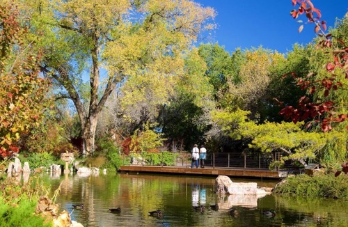 Albuquerque House | Family & Friends Getaway! 2 Homely Units with Free Parking! Indoor Pool Onsite!