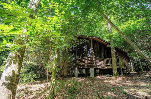 Victor Cabin | Hot Tub 2 BR Cabin in the woods New River Gorge (Cabin 2 Opossum Creek Retreat)