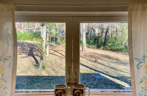 Cotter House | In Town, Large Yard, Close to Rivers and Lakes, Quiet