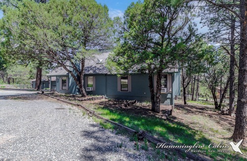 Ruidoso Downs Cabin | Lone Pine Pet Friendly | Elk, Deer & Cozy Nights in Your Private Nature Sanctuary