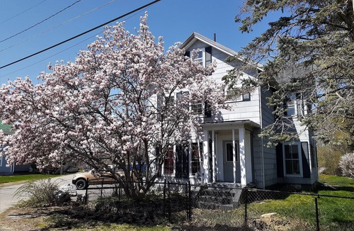 Isle of Springs House | Merrymeeting Bay, entire house, free parking, full kitchen, mid-coast hub