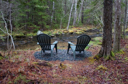 Mount Desert Apartment | Peaceful Basement Apartment among serene woods, paths, and a stream near Acadia