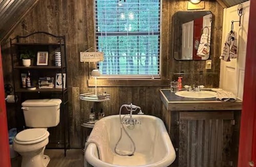 Canyon Lake Ski Chalet | Prickly Pear - Rustic Cabin