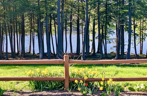 Gardiner House | Quiet Waterfront Retreat on 2 Private Acres - w/Game Room, Kayaks & Canoes