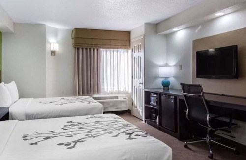 Temple Terrace Hotel | Relax and Unwind Near Busch Gardens Tampa and Adventure Island Water Park