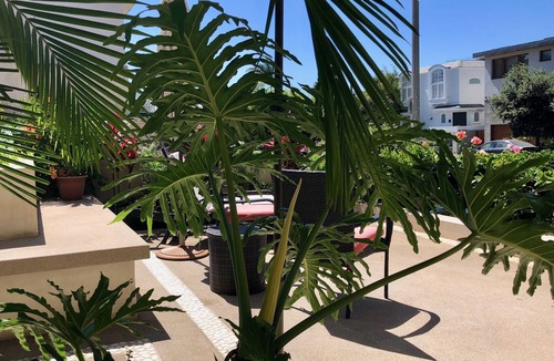 The Strand Apartment | Sand Section Studio in Manhattan Beach, ½ Block to the Sand, South End, PARKING!