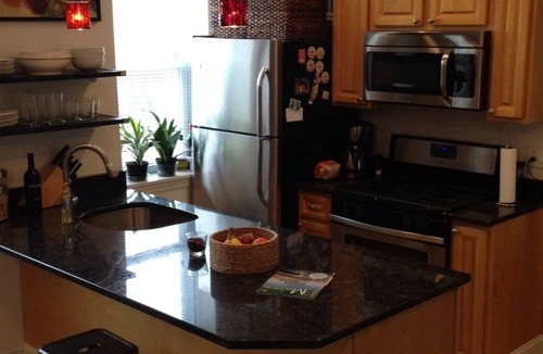 Jeffries Point Apartment | Spacious beautiful one bedrooms condo in East Boston #7 420 friendly