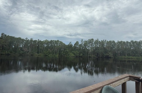 Lutz Condo | Stay Where You Play at Paradise Lakes! Sleeps up to 4!