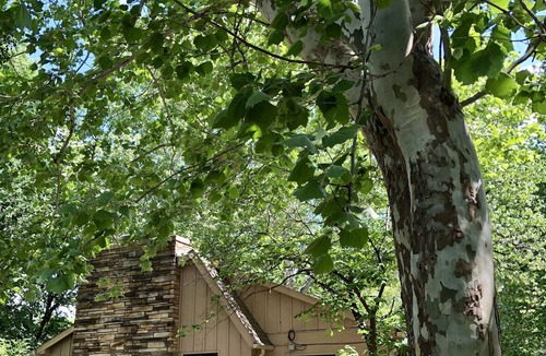 Wichita House | Striving for Allergy Free ~ Stress Free Environment!