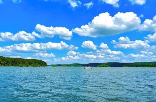 Kirby Cabin | Studio Cabin – Pet-Friendly Retreat Near Lake Greeson & Kirby Landing Marina