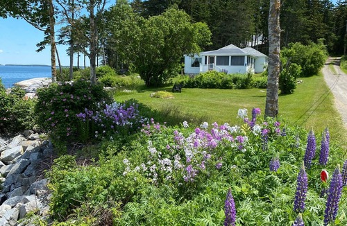 Spruce Head Cottage | Stunning Views on Ocean's Edge. Pebble beach, sunbathing, firepit and grill.