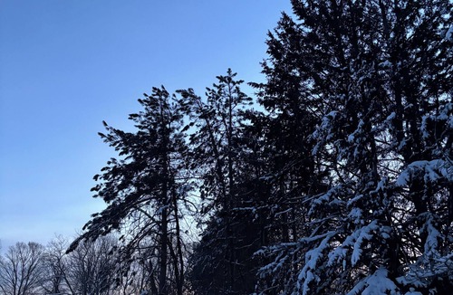 Waldoboro House | The Midcoast Mainstay
