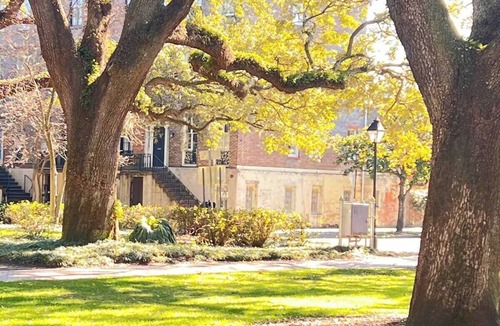 Old West Broad Neighborhood Apartment | This Classical Parlor is located on Chatham Square. It offers a quiet retreat with natural light, floor-to-ceiling windows, and views of the Square.