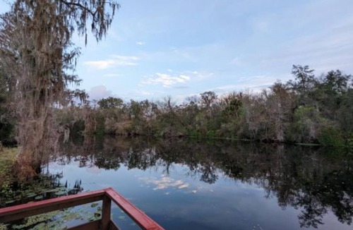 Temple Terrace House | Tranquil, Riverfront 3-bedroom Tampa home near USF & Busch Gardens