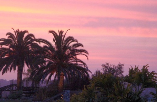 Lone Tree Estates Cottage | Upscale Cottage Close to Del Mar Beach