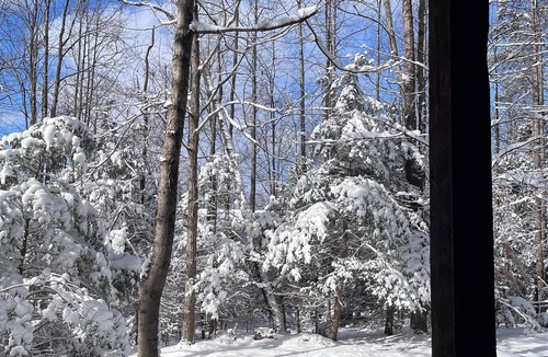 Lansing Cabin | Whitewater Country with Hot Tub, Free WiFi & Indoor Wood Burning Fireplace!