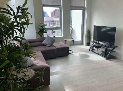 3 bed 2 bath Skyline View Luxury Apartment DTLA