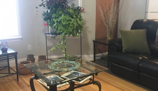 3RD Floor unit · Sun-Drenched, Quiet 3rd Floor,3 bedrooms in Somerville