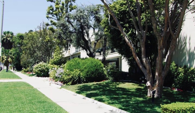 A quiet mid centuy West Hollywood building. Amazing location