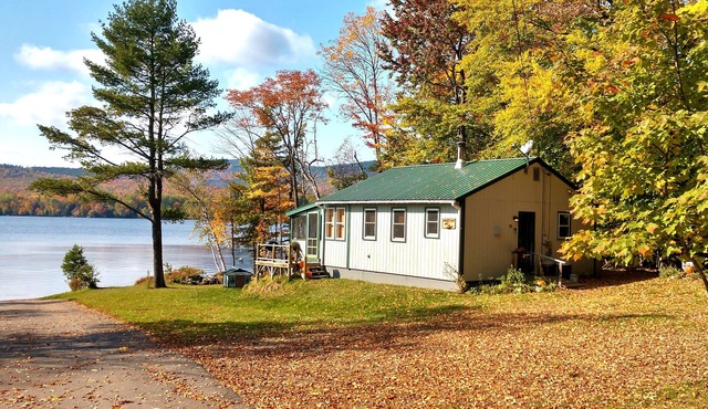 "Andy's Place"