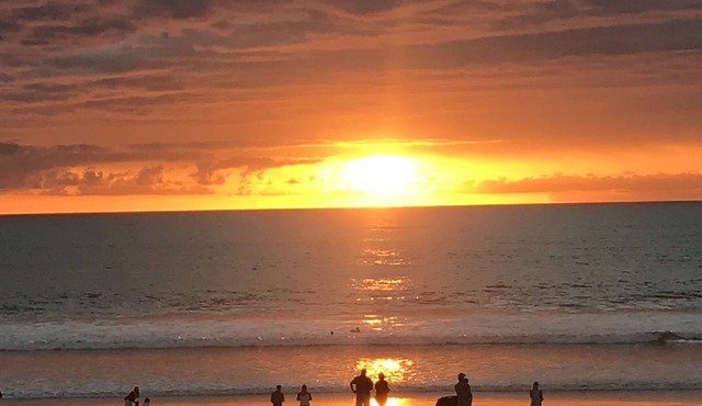 Beachfront Bliss! Book your 2026 vacation today!