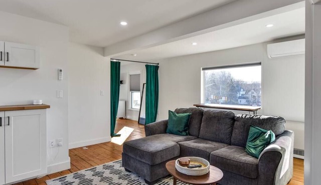 Beautiful Open Concept 1 bedroom